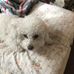 Marie Ames - Facebook