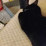 Marie Angle - Facebook