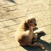 Marie Archer - Facebook