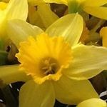 Marie Archer - @mariearcher1968 - Instagram
