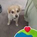 Marie Archer - Facebook