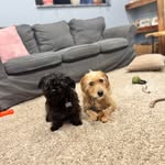 Marie Archer-Veldpaus - @mariearcherveldpaus - Instagram
