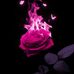 Marie Arrigo - Facebook