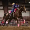 Hayley Allison - @hayleymarieault - TikTok
