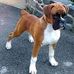 Mary Baggett - Facebook