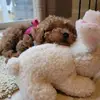 Marie Ball - @marie.ball67 - TikTok
