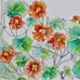 Marie Barbour Images - Facebook