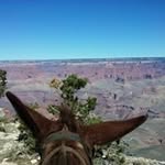 Marie Barbour Wolven - @mariewolven - Instagram