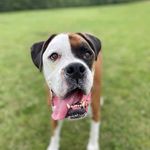 Marie Barker - @marie.barker.902 - Instagram