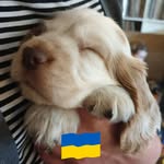 Marie Barker - @mariebarker8176 - Instagram