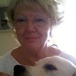 Marie Barlow - @marie.barlow.560 - Instagram