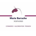 𝐌𝐚𝐫𝐢𝐞 𝐁𝐚𝐫𝐫𝐚𝐜𝐡𝐨 - 𝐒𝐩𝐨𝐫𝐭 𝐇𝐨𝐫𝐬𝐞𝐬 - @mariebarracho.sporthorses - Instagram