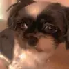 mariebartel35 - @mariebartel35 - TikTok