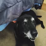 Amber Marie Bartley - @amberbartley2020 - Instagram