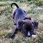 @khaleesi.marie.baskin - Instagram