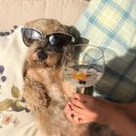 Marie Bateman - @mariecbateman - Instagram