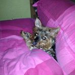 Marie Beale - Facebook
