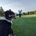 Maria Beamer - Facebook