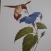 Marie Bearden - Facebook