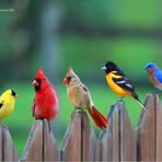 Marie Beaton - Facebook