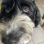 Marie-Claude Beaudry - @marie.beaudry13 - Instagram