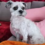 Marie-Paule Bechtold - @mpjuste - Instagram