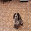 Marie Rose Bechtold - @marie.rose.bechto - TikTok