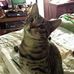 Marie Becnel - Facebook