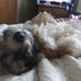 Mary Beers - Facebook