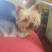 Marie Behr - Facebook