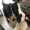 mariebehr - @mariebehr - TikTok