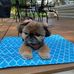 Marie Bergin - Facebook