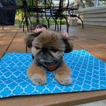 Marie Bergin - @msbergin2 - Instagram
