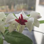 Marie Bergman - @mariebergman72 - Instagram