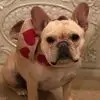 Marie Bergman - @marie.bergman12 - TikTok