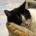 Marie Berlingeri - Facebook