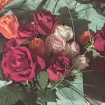 Marie Bertin - @marie.bertin.12382 - Instagram