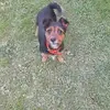 mariebertin678 - @mariebertin678 - TikTok