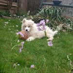 Marie-france Bertsch - @marie_france__bertsch - Instagram