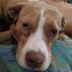 tesla marie biddle - @teslamariebidd - Instagram