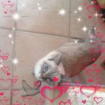 Marie Bobo - @marie.bobo.98 - Instagram