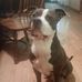 Marie Bowen - Facebook