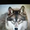 dawn - @dawnmariebowker - TikTok
