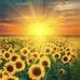 Marie Miller Bowker - Facebook