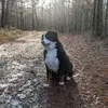Daisy and Marie - @marieboxold - TikTok