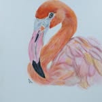 Marie-Thérèse van Boxtel - @marietheresevanboxtel - Instagram