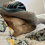 Marie Bright - @ms.albright.socialstudiesguru - Instagram
