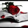 Marie Brisson - @marie.brisson50 - TikTok