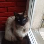 Marie Paule Britten - @mariepaulebritten - Instagram