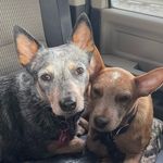 Marie & Bruce - @marie_bruce_raso - Instagram